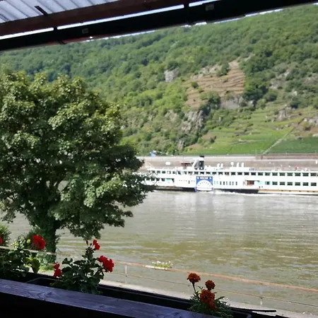 Zur Traube ゲストハウス 3*